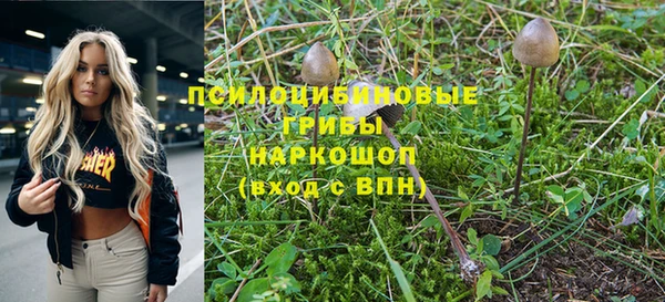 мефедрон мука Новодвинск