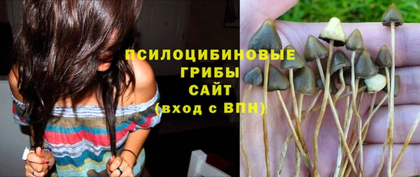 кокаин Новозыбков