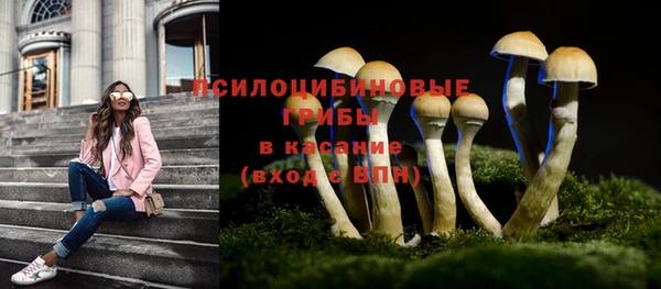 мдпв Новокубанск