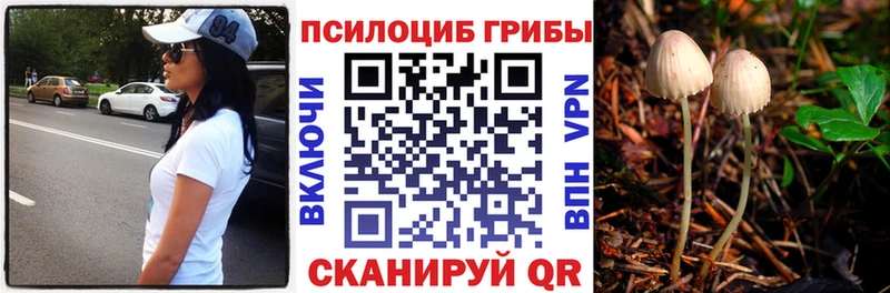 где купить наркоту  kraken маркетплейс  Псилоцибиновые грибы MAGIC MUSHROOMS  Рузаевка 